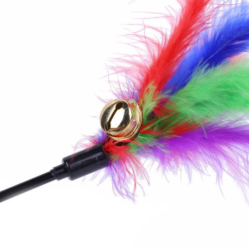 Canne à plumes pour chat – vue 7