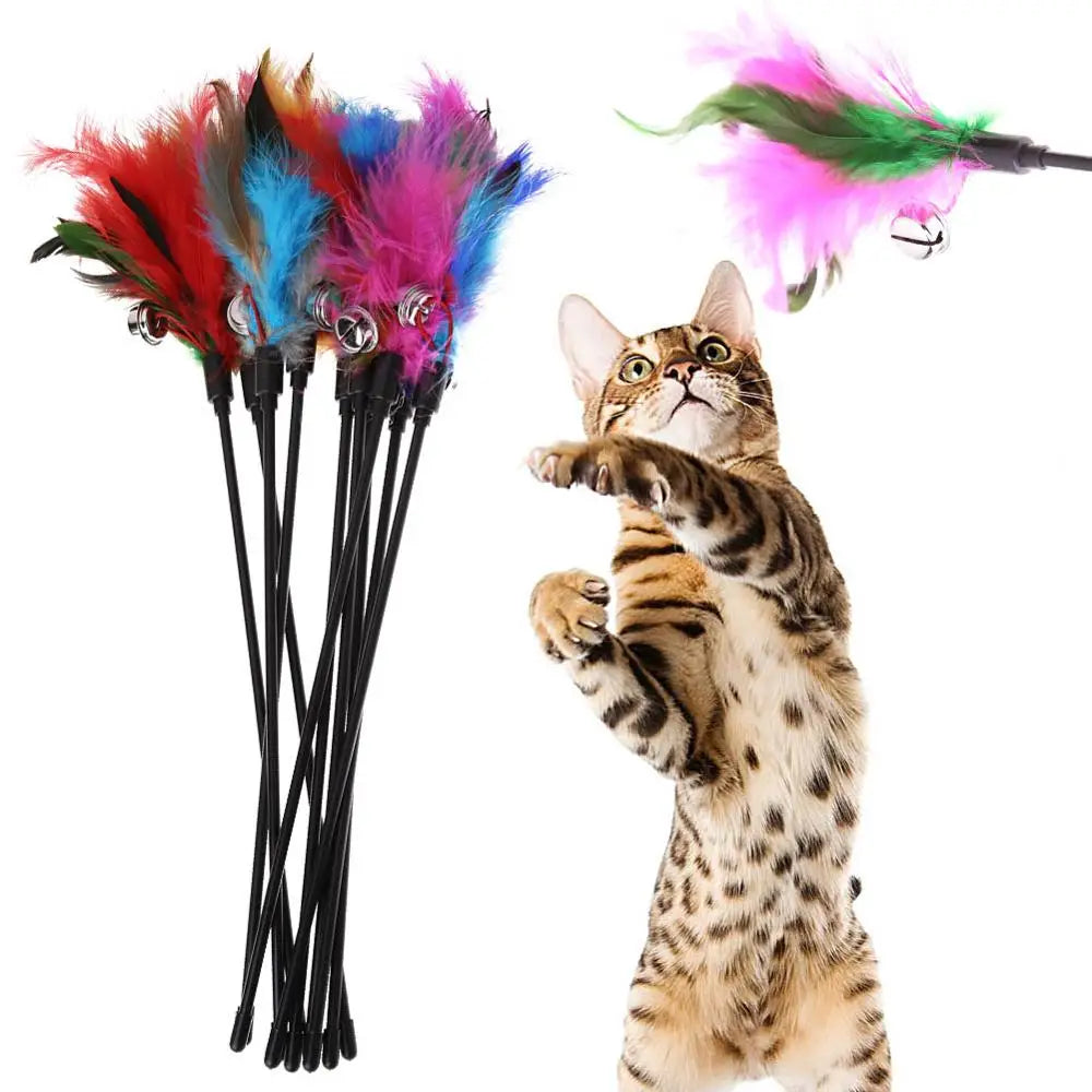 Canne à plumes pour chat – vue 9