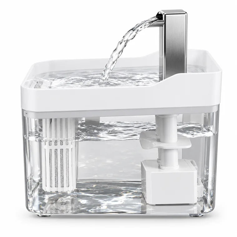 De face : filtre et pompe