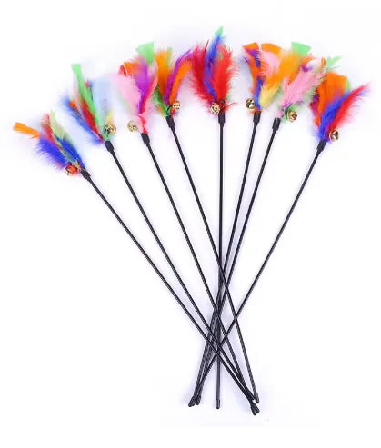 Coloris variés (lot de 5 au hasard)