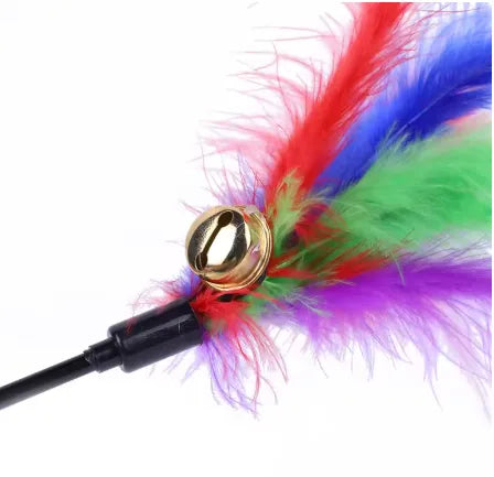 Plumes et clochette
